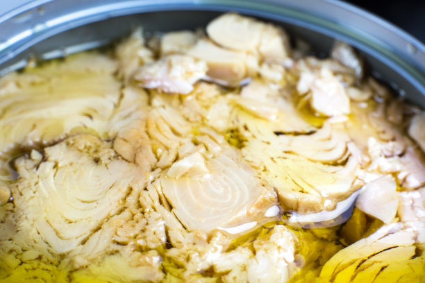 在白色背景油金枪鱼肉罐头。打开罐头，特写照片。图片下载