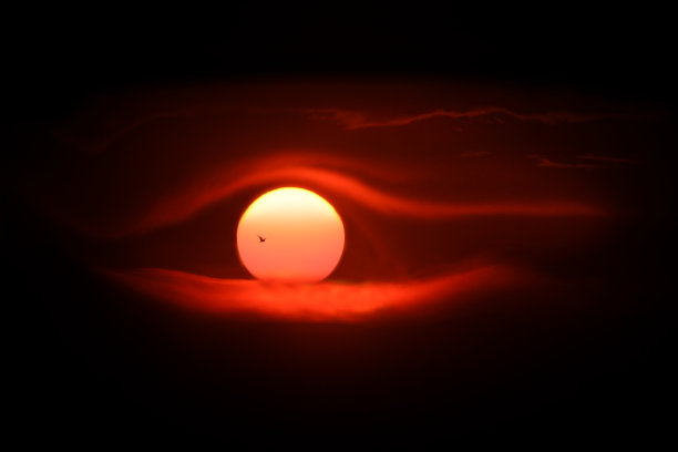 巨大的落日，背景中有一只海鸥，类似于人眼图片下载