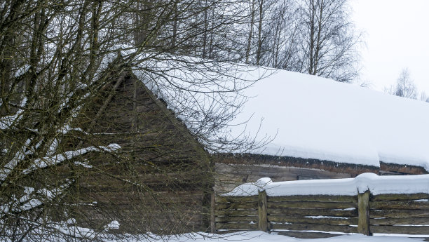 冬天的雪覆盖了村庄的房屋、篱笆和树木。在美丽的冬天，美丽的老村庄房子有很多白雪和树木。农村的概念。图片下载
