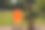 在一个绿色的花园里，后面有一把孤独的椅子图片下载
