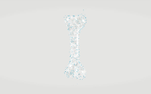 骨骼与生物结构线，3d渲染。图片下载