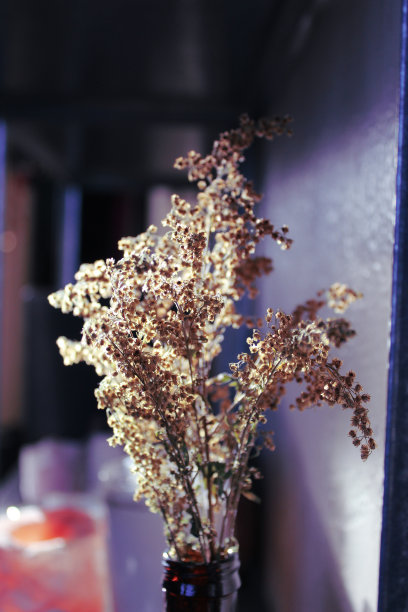 在阳光下图片下载