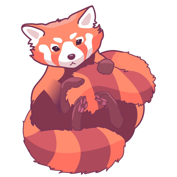 可爱的小熊猫在白色孤立的背景图片下载