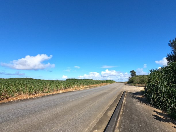 下二岛的公路图片下载