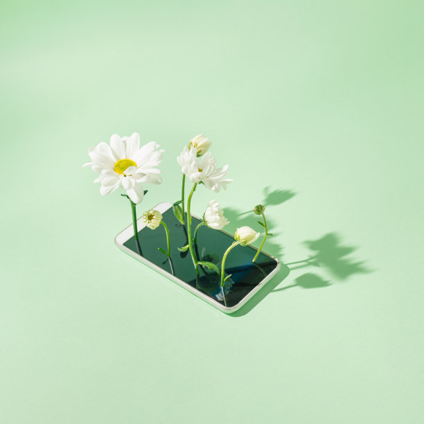 在薄荷绿的背景上放着一部电话，花从上面长出来。科技热潮。图片下载
