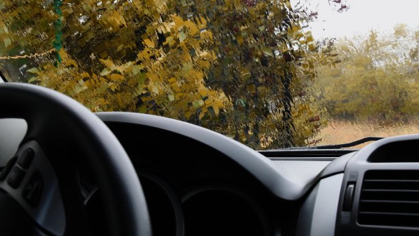 雨水透过透明的挡风玻璃倾泻而下，背景是黄色的树叶图片下载