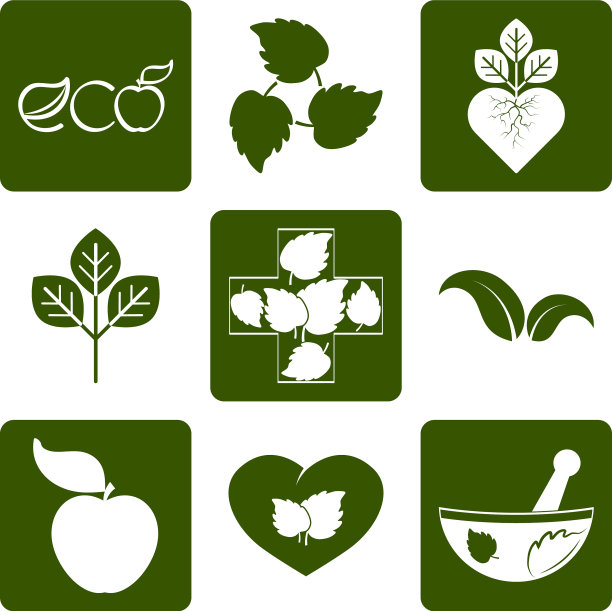 草药设置图标模板生态符号图片下载