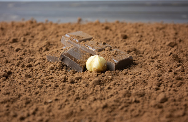 板岩板上的巧克力，加上可可粉和榛子图片下载