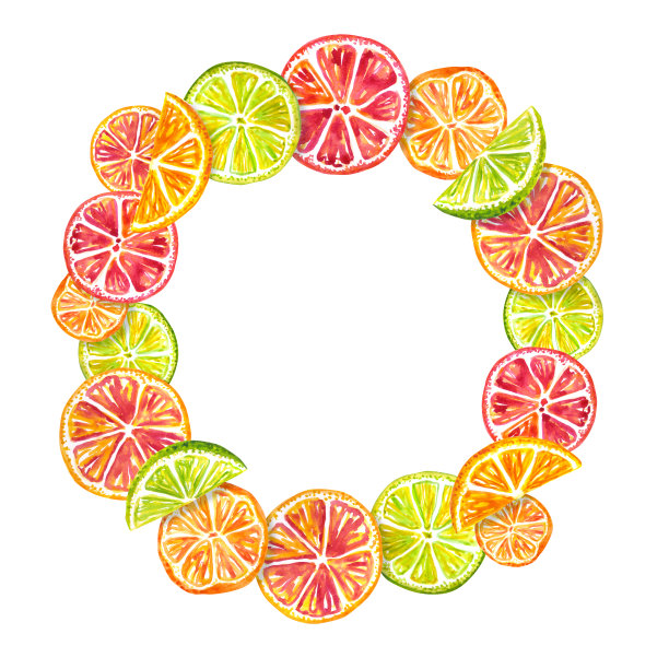 圆形框架的柑橘片，水彩插图图片下载