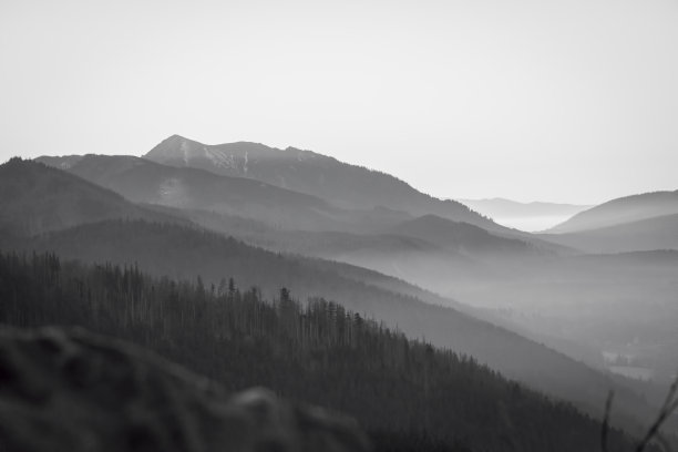 波兰塔特拉山的单色视图图片下载