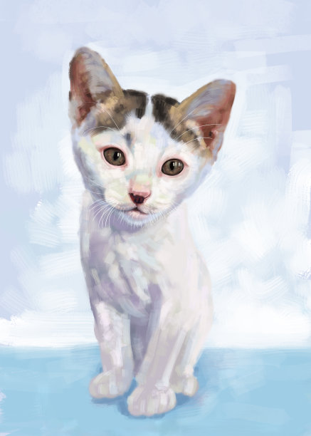 可爱的小白猫，数码绘画。图片下载