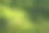 绿草如茵的草坪，有阳光也有树荫。抽象的绿色背景。环保的概念。图片下载