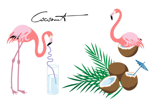 椰子，果汁，棕榈叶和有趣的鸟粉色火烈鸟。平的风格。图片下载