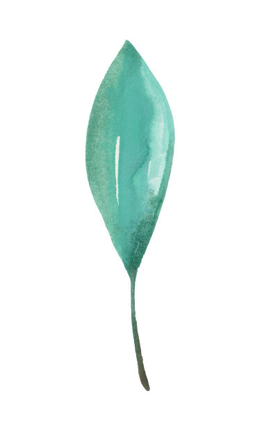 水彩叶图片下载