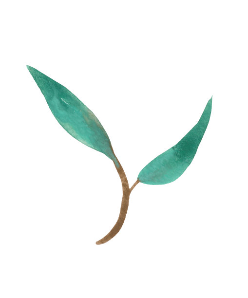 水彩叶图片下载