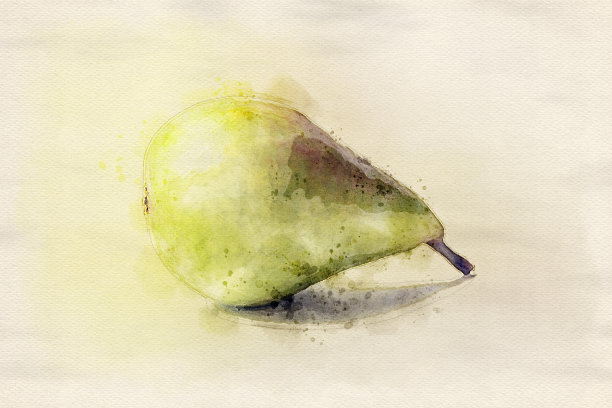 水彩梨图片下载
