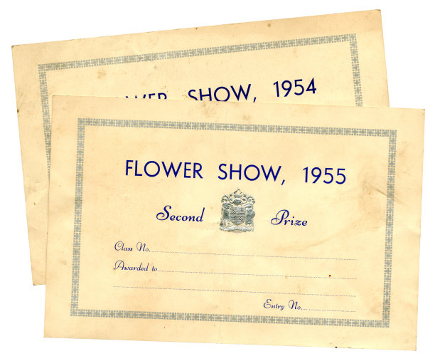 花展获奖证书，1950年代图片下载