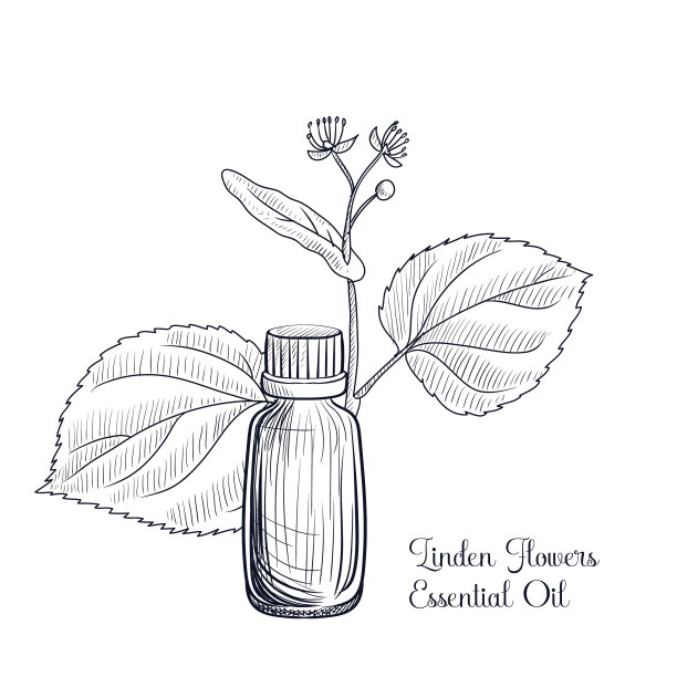 提花菩提花精油图片下载