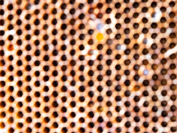 《野蜂巢》中模糊的圆圈图片下载