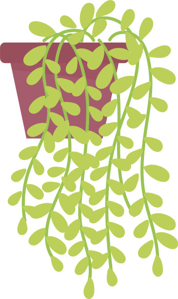 盆栽装饰室内隔离设计图片下载