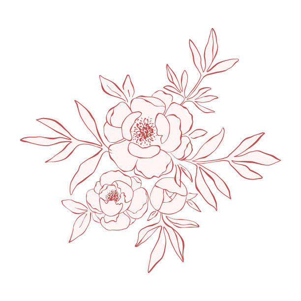 线条艺术牡丹安排图片下载