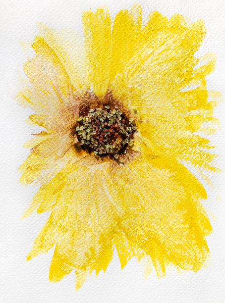 画艺术。黄色花或向日葵，中心由盐晶体制成。图片下载