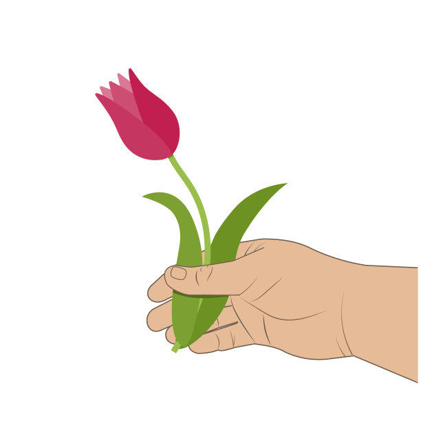 郁金香手中的一个人矢量孤立的插图，剪贴画图片下载
