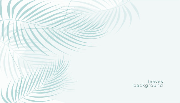 热带棕榈叶白色背景图片下载