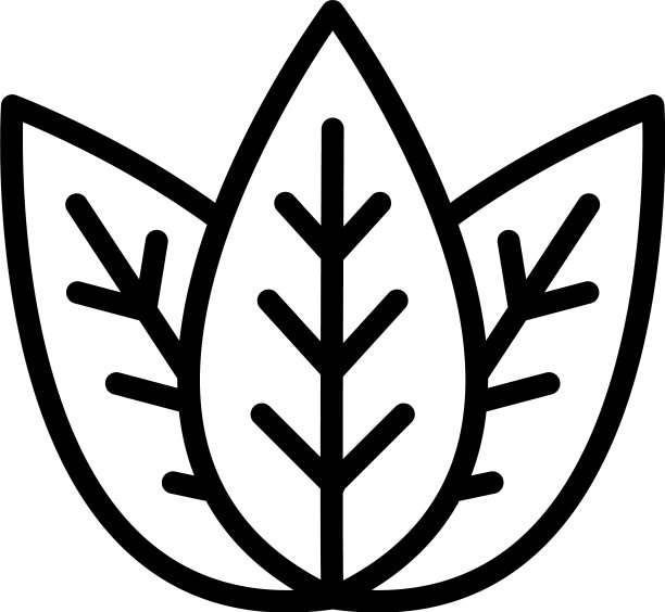 罗勒芳香图标轮廓风格图片下载