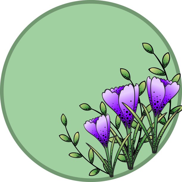 藏红花卡片与地方的题字图片下载