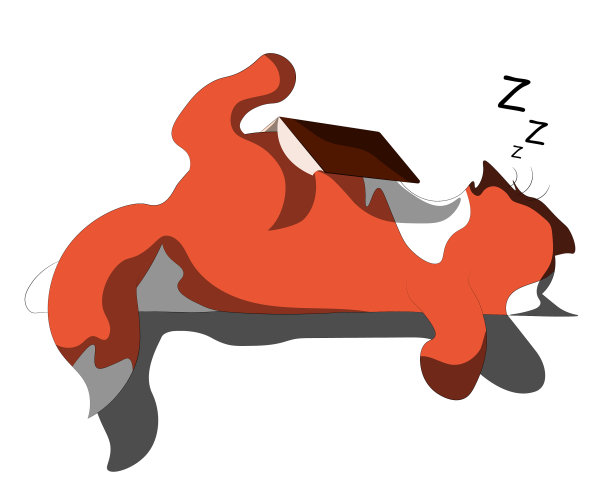 大肥猫正在读一本书，累得睡着了图片下载