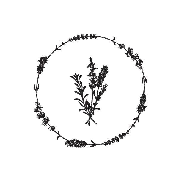 薰衣草野生和栽培品种的薰衣草花花环。古董花集。墨水手绘素描。矢量插图。图片下载