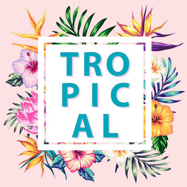 热带收集的奇异的花和图片下载