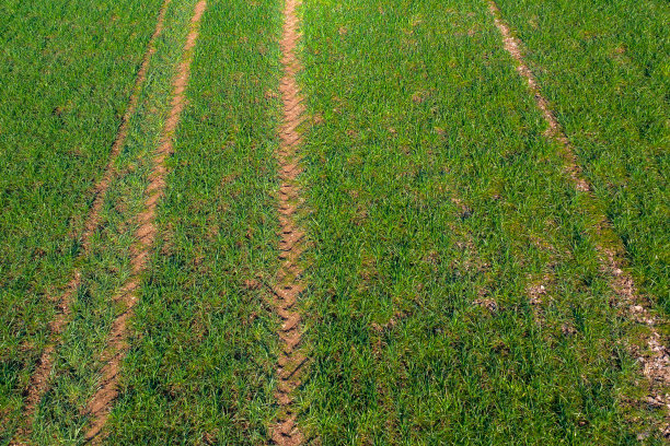 高角度的轮胎履带在一个新的作物图片下载