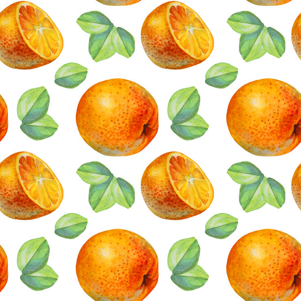 无缝模式水彩柑桔水果橙子片和绿叶孤立在白色的背景。手绘食物对象菜单，贴纸，包装，卡片图片下载