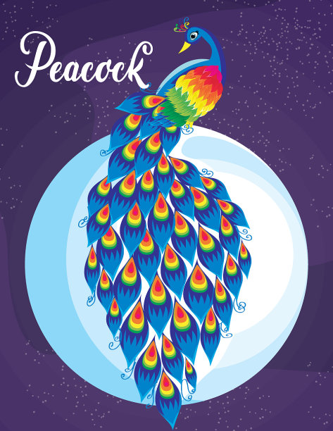 月光下的孔雀图片下载