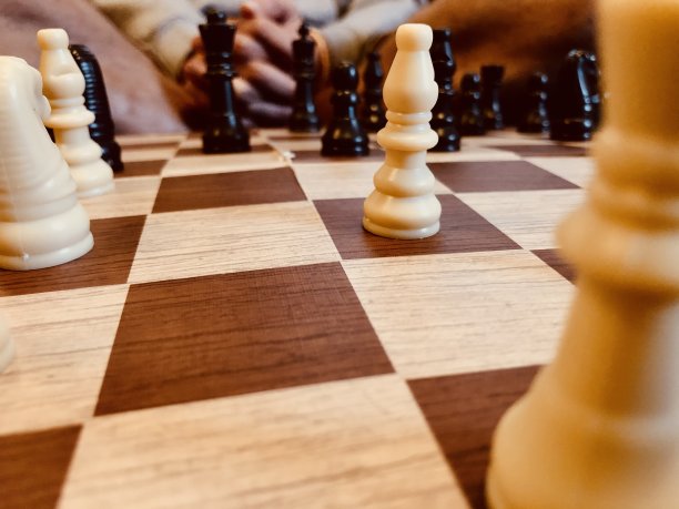 暖橡树棋图片下载