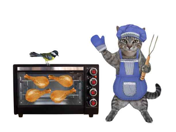 戴着蓝帽子的猫灰在烤箱里煮鸡图片下载