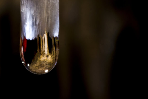 到洞里去图片下载