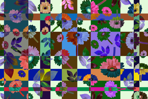 现代风格的非洲菊花图案与树叶在丰富多彩的背景。主题分散随机的。图片下载