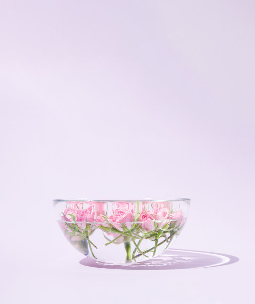 粉红玫瑰漂浮在芳香疗法碗与水在柔和的紫罗兰背景。垂直的构图。图片下载