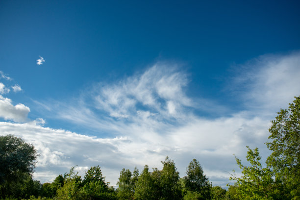 春天的下午，蓝天白云图片下载