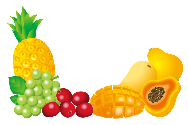 一个水果框架的插图。热带水果。图片下载