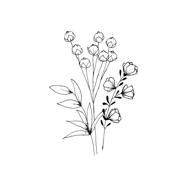 素描风格手绘花卉图片下载