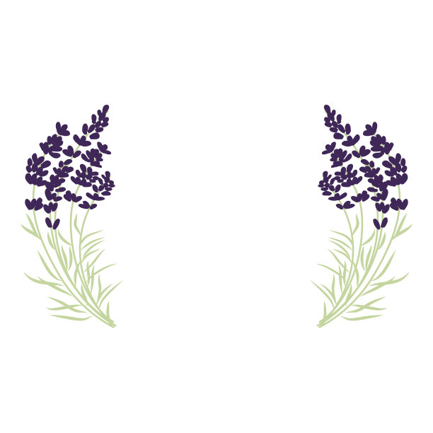 薰衣草图片下载