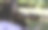 特写美丽的女士拉小提琴感兴趣图片下载
