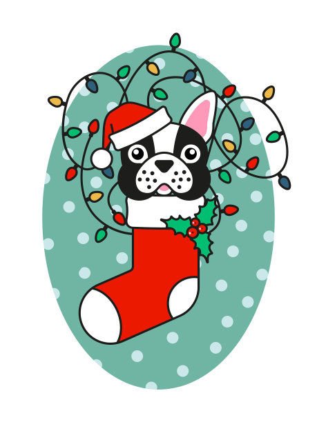 戴着圣诞帽，穿着圣诞袜的法国斗牛犬图片下载