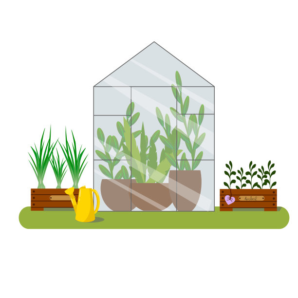 用盆栽植物做的花园插图。装有绿洋葱和香草的盒子。图片下载
