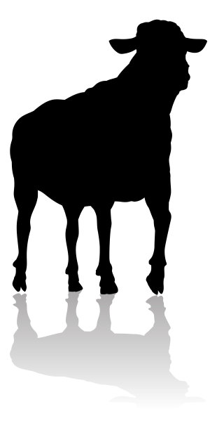 绵羊或绵羊农场动物的剪影图片下载