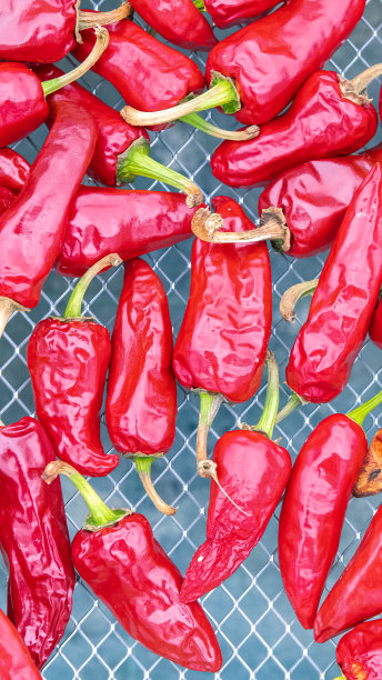 Espelette辣椒干图片下载